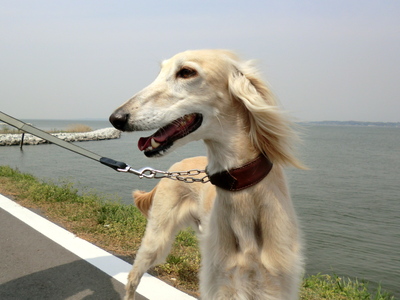 f0071412_10111496.jpg