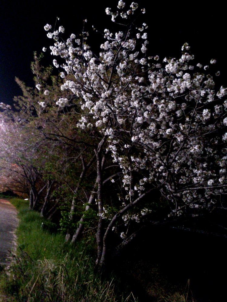 f0092821_09860.jpg
