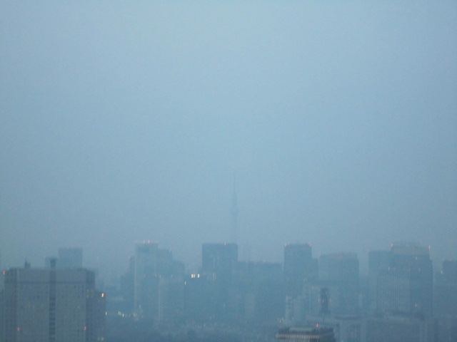 充実した東京出張♪_f0191324_10482316.jpg