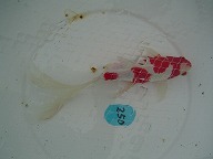 f0214235_0142397.jpg