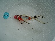 f0214235_0145210.jpg