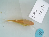 f0214235_0181074.jpg