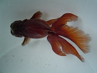 f0214235_0191078.jpg
