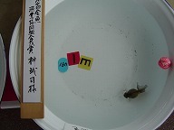 f0214235_0193560.jpg