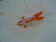 f0214235_0211155.jpg