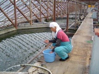 f0214235_1644117.jpg