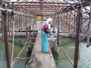f0214235_16453022.jpg