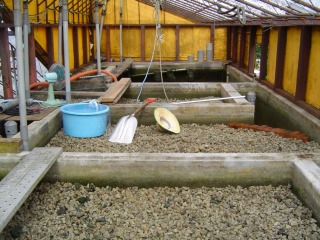 f0214235_1651474.jpg