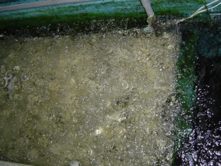 f0214235_17134944.jpg