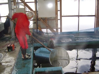 f0214235_1714194.jpg