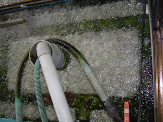 f0214235_17143299.jpg