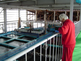 f0214235_1774337.jpg