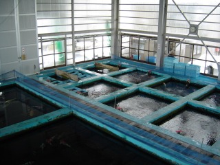 f0214235_1785811.jpg