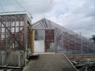 f0214235_3581138.jpg
