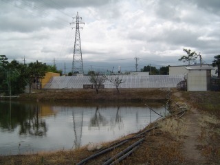 f0214235_35832.jpg