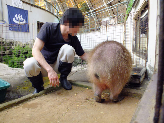 春だよ、草津熱帯圏!_a0179837_1759438.jpg