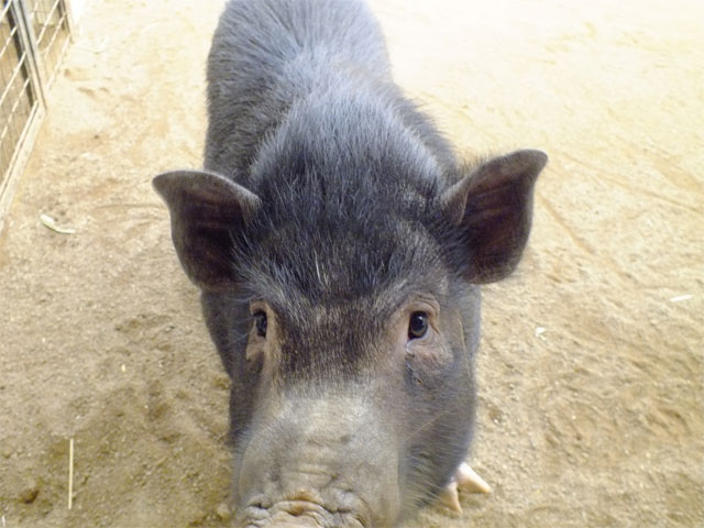 春だよ、草津熱帯圏!_a0179837_1820217.jpg