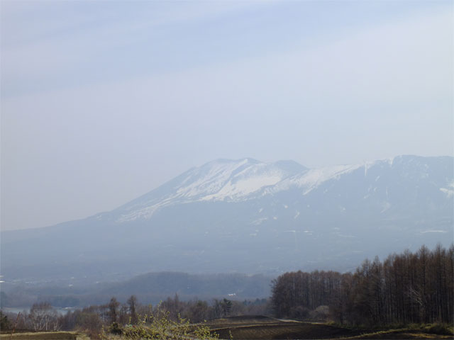 春だよ、草津熱帯圏!_a0179837_1824658.jpg
