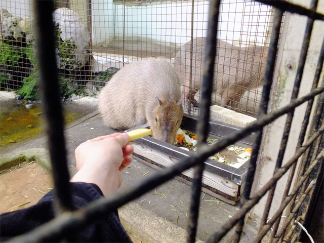春だよ、草津熱帯圏!_a0179837_1855332.jpg