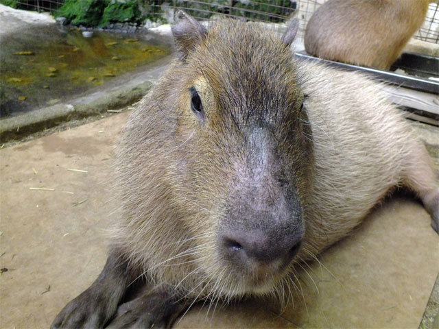 春だよ、草津熱帯圏!_a0179837_1982468.jpg