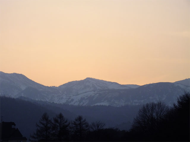 春だよ、草津熱帯圏!_a0179837_1992691.jpg