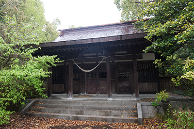 d0177239_18452689.jpg