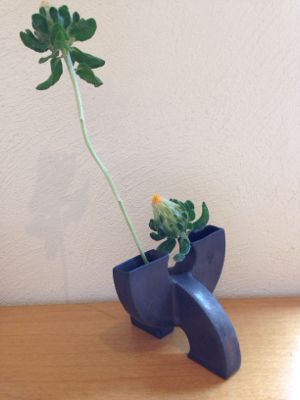 田中啓一展 初日の朝に_b0132442_15474488.jpg