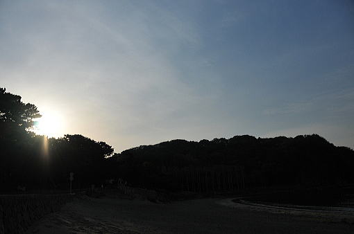 f0094843_155138.jpg