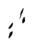 b0232447_22181536.png