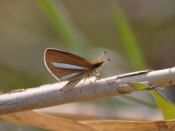 c0045352_21395230.jpg