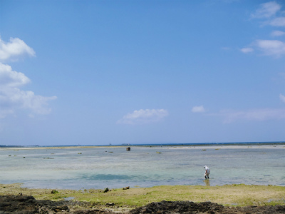 c0180460_2334590.jpg
