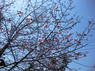 c0190960_9401170.jpg