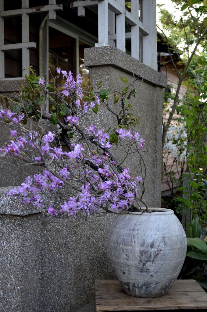 「小野哲平 -その造形-」 壺と花_d0087761_421734.jpg