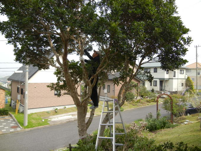 ’１４，４，１７（木）キコリの後はキッズ風『野原の散歩道』_f0060461_1024588.jpg