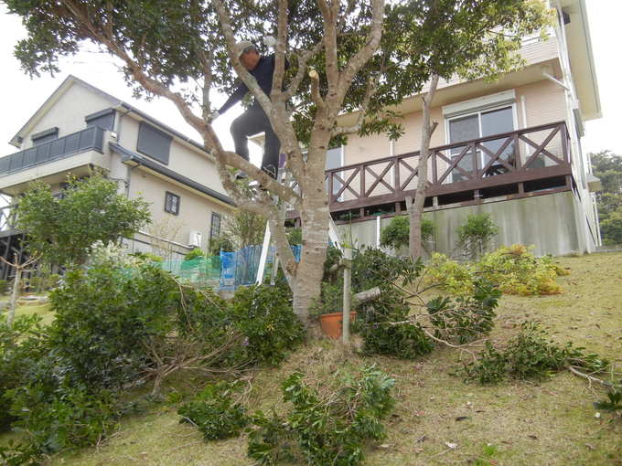’14,4,17(木)キコリの後はキッズ風『野原の散歩道』_f0060461_10252862.jpg