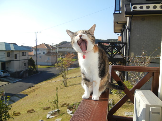 ’14,4,17(木)キコリの後はキッズ風『野原の散歩道』_f0060461_10454449.jpg