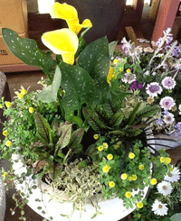 a0236063_1084175.gif
