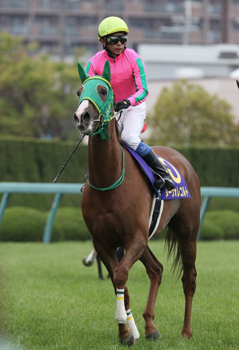 【廃盤・レア品】競馬 ハープスター 2014桜花賞 廃盤・レア品】競馬 ハープスター 2014桜花賞 ハープスター2014