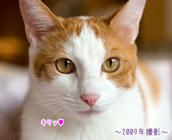 a0119470_0424455.jpg