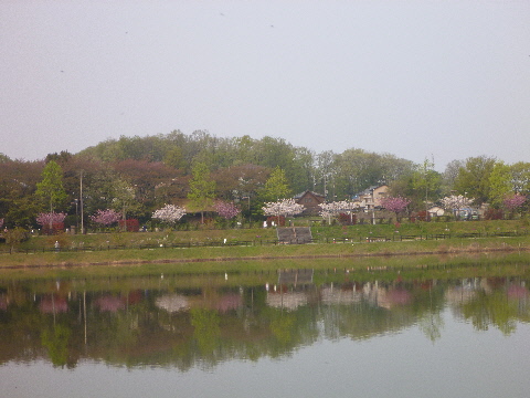 e0161972_12987.jpg