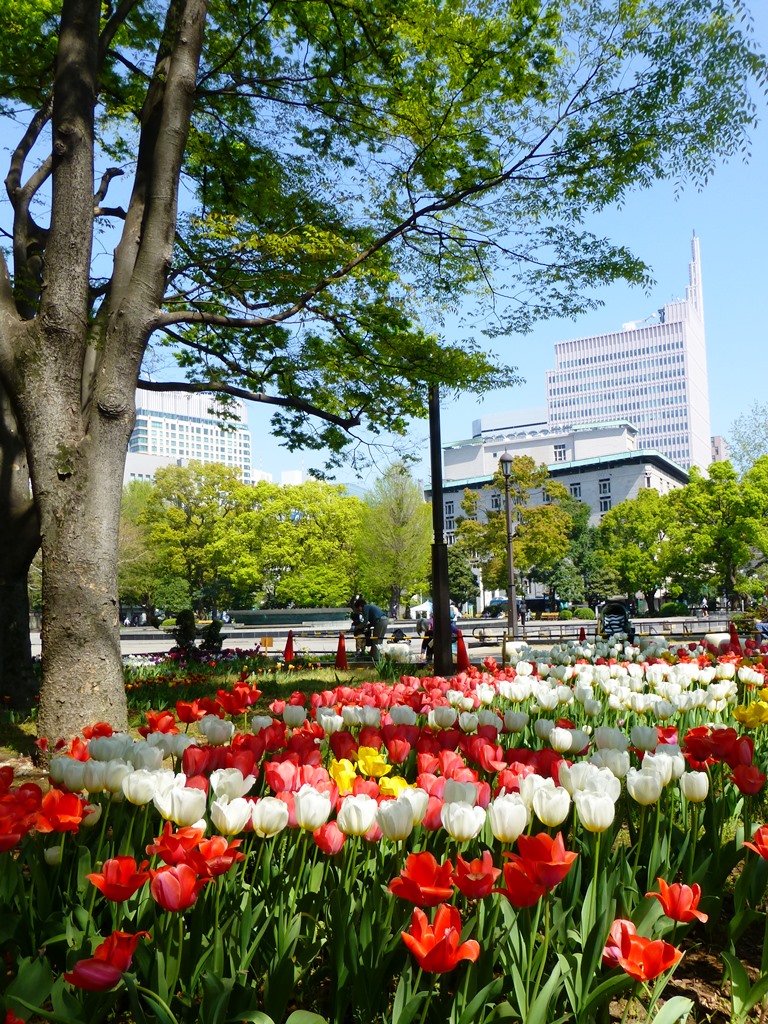 d0042474_01224709.jpg