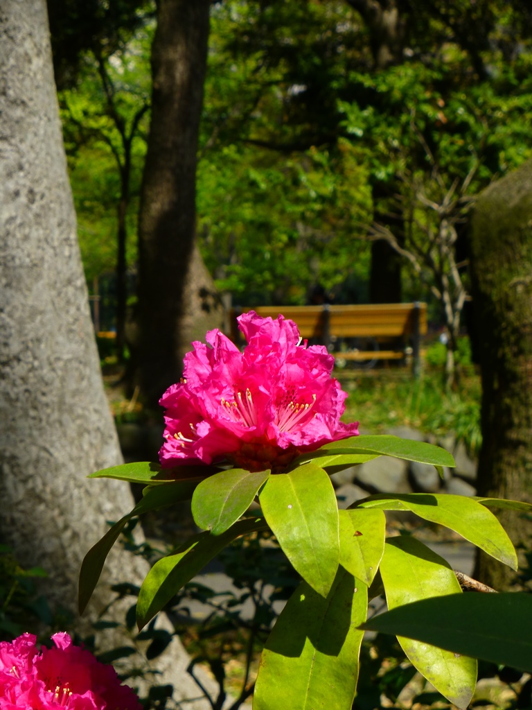 d0042474_01244367.jpg