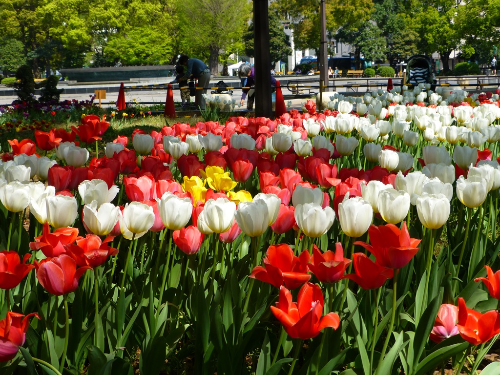 d0042474_01253646.jpg