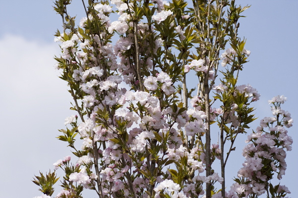 b0247880_9165836.jpg