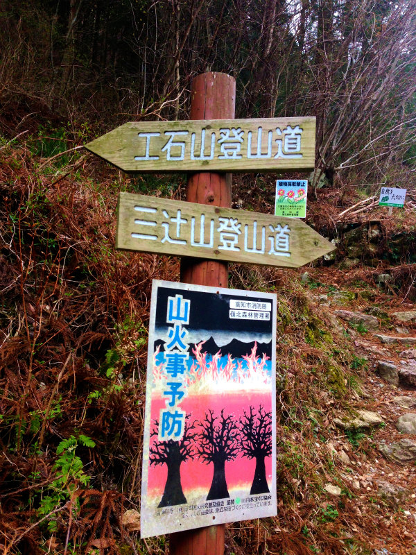 高知県 工石山 マウンテンランニング 2014/04/12-13_b0220886_22405459.jpg