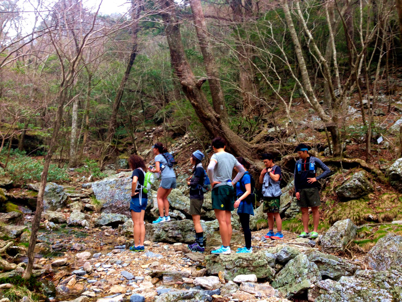 高知県 工石山 マウンテンランニング 2014/04/12-13_b0220886_22444073.jpg