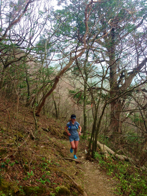高知県 工石山 マウンテンランニング 2014/04/12-13_b0220886_2245130.jpg