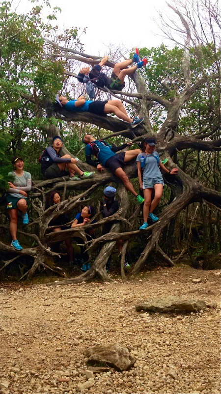 高知県 工石山 マウンテンランニング 2014/04/12-13_b0220886_22461041.jpg