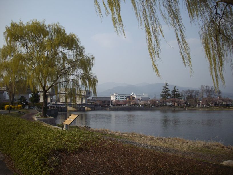 桜前線 只今 到着_b0329588_18431581.jpg