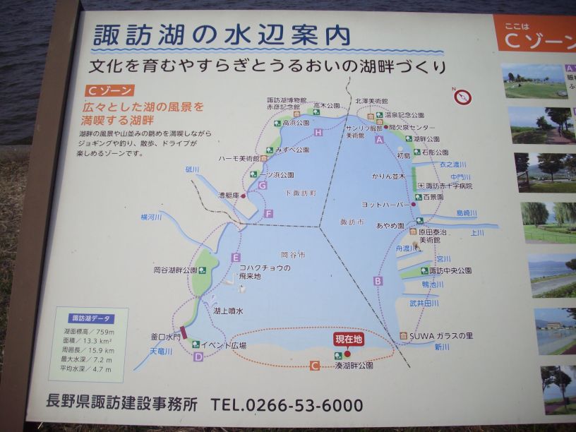 桜前線 只今 到着_b0329588_18433462.jpg